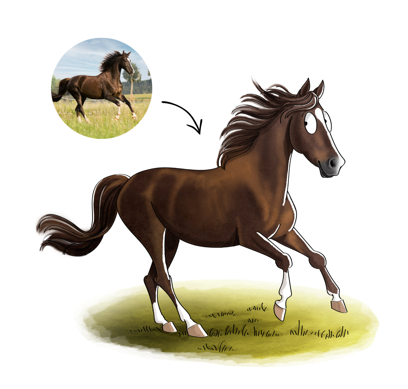 mrs. RIDE® Solo Star