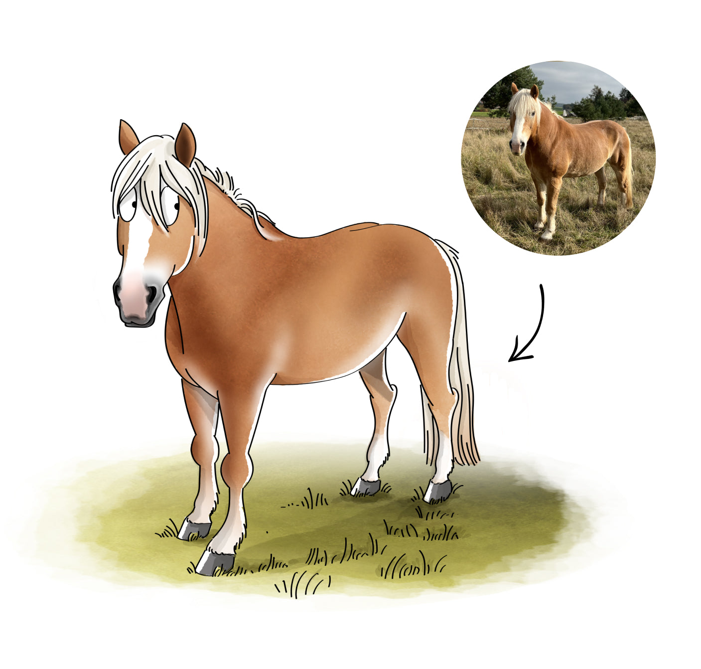 mrs. RIDE® Solo Star