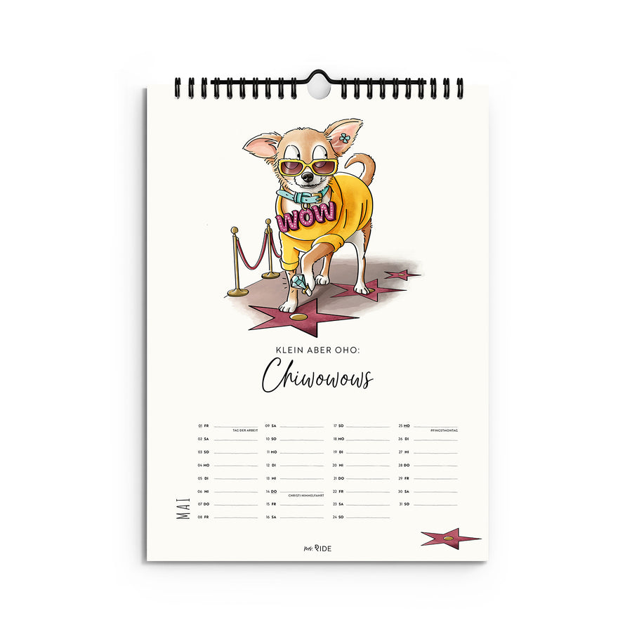 Hunderassen Kalender 2026