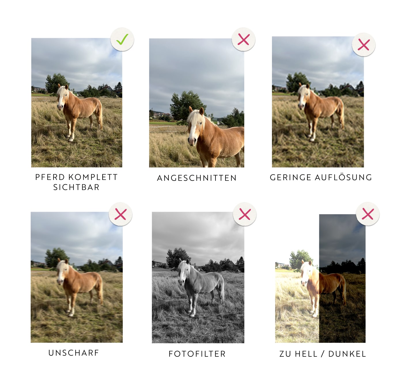 mrs. RIDE® Solo Star