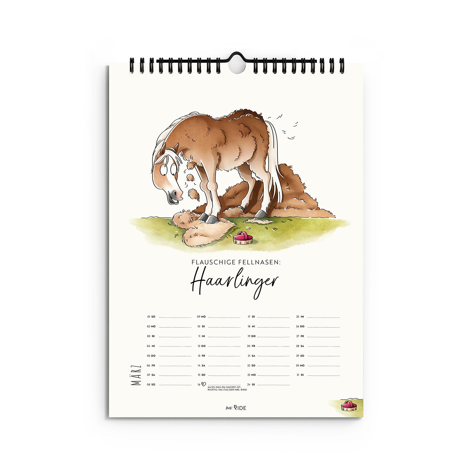 Haflinger Kalender 2026