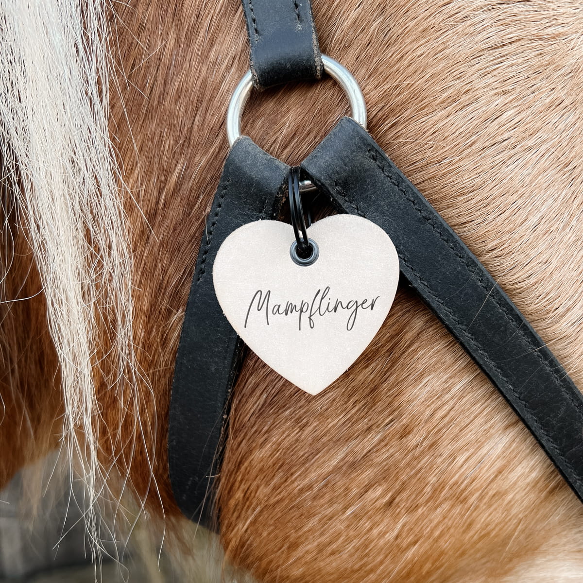 Lederanhänger "Mampflinger"