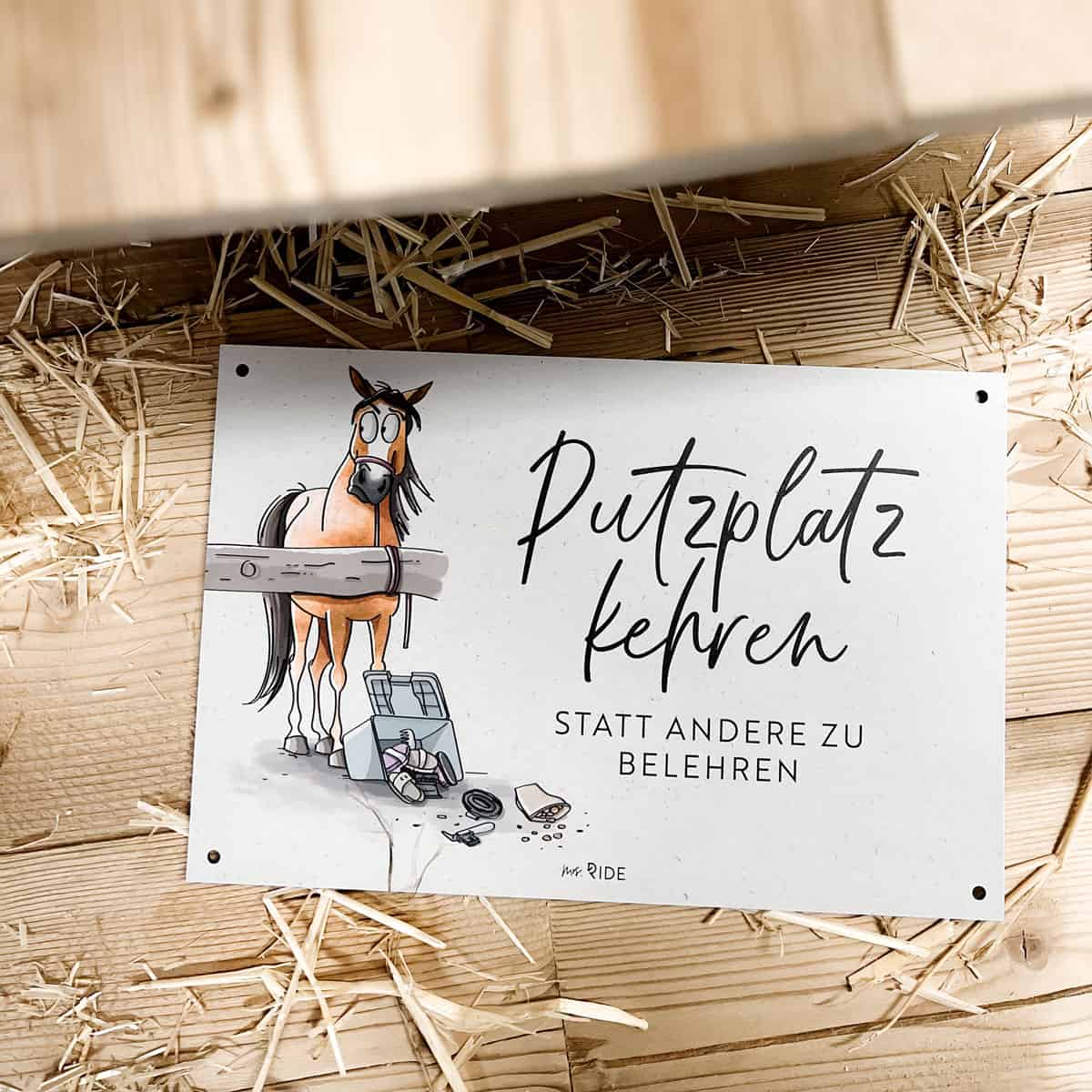 Schild "Putzplatz kehren"