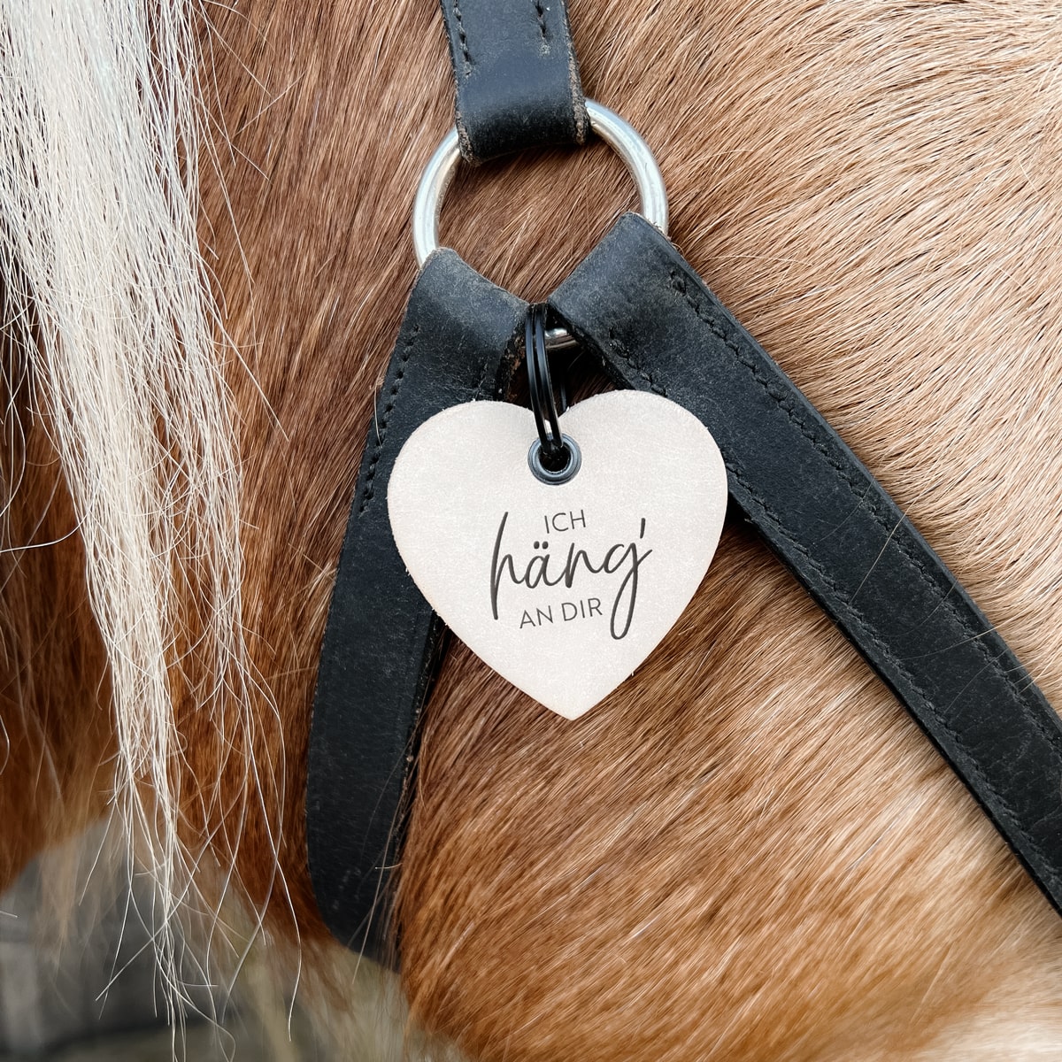 Lederanhänger "Ich häng' an dir"