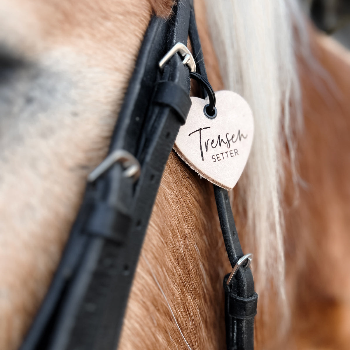 Lederanhänger "Trensensetter"