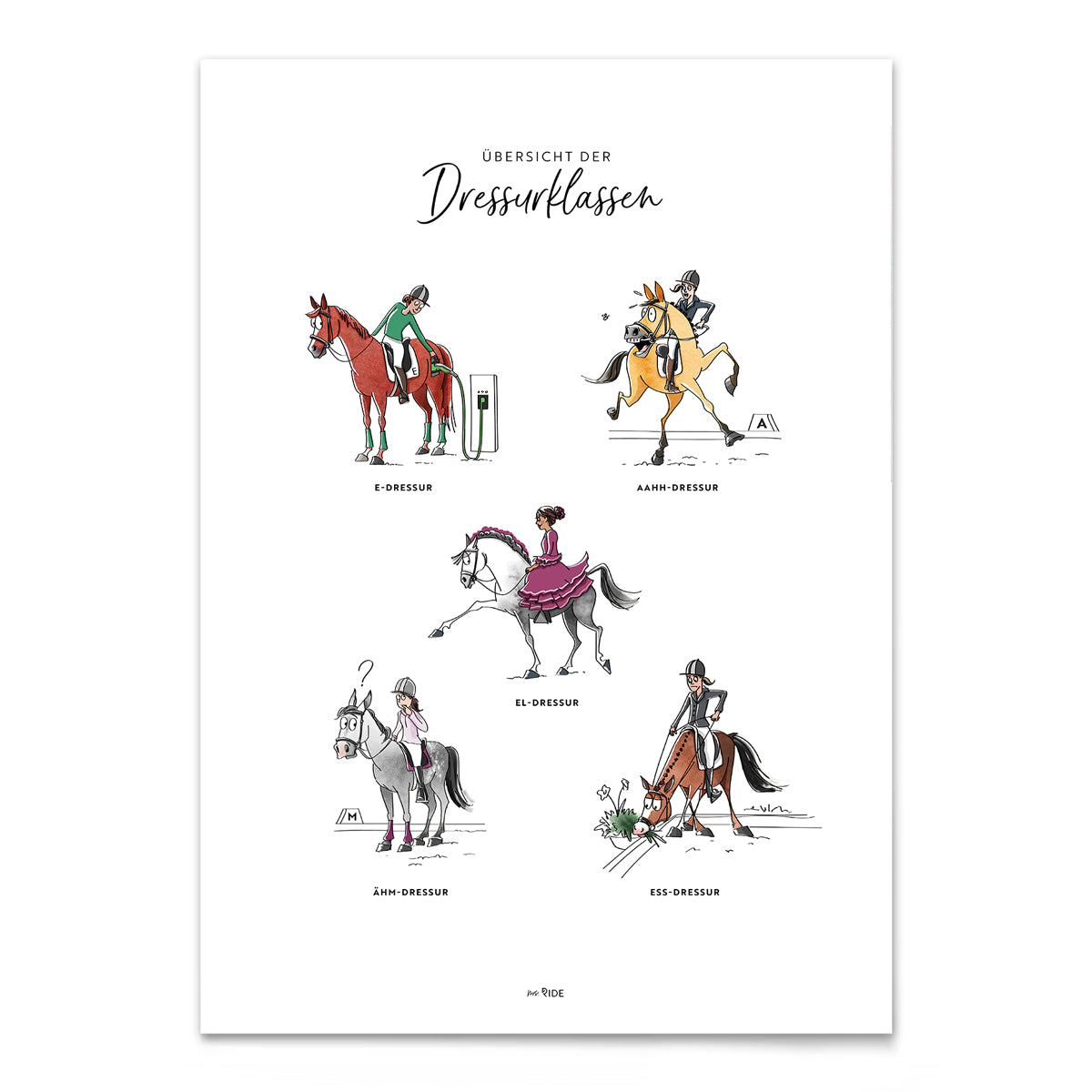 Poster "Dressurklassen"