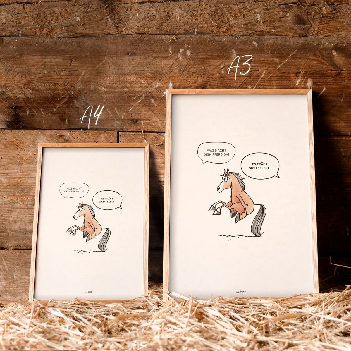 Poster "Es trägt sich"