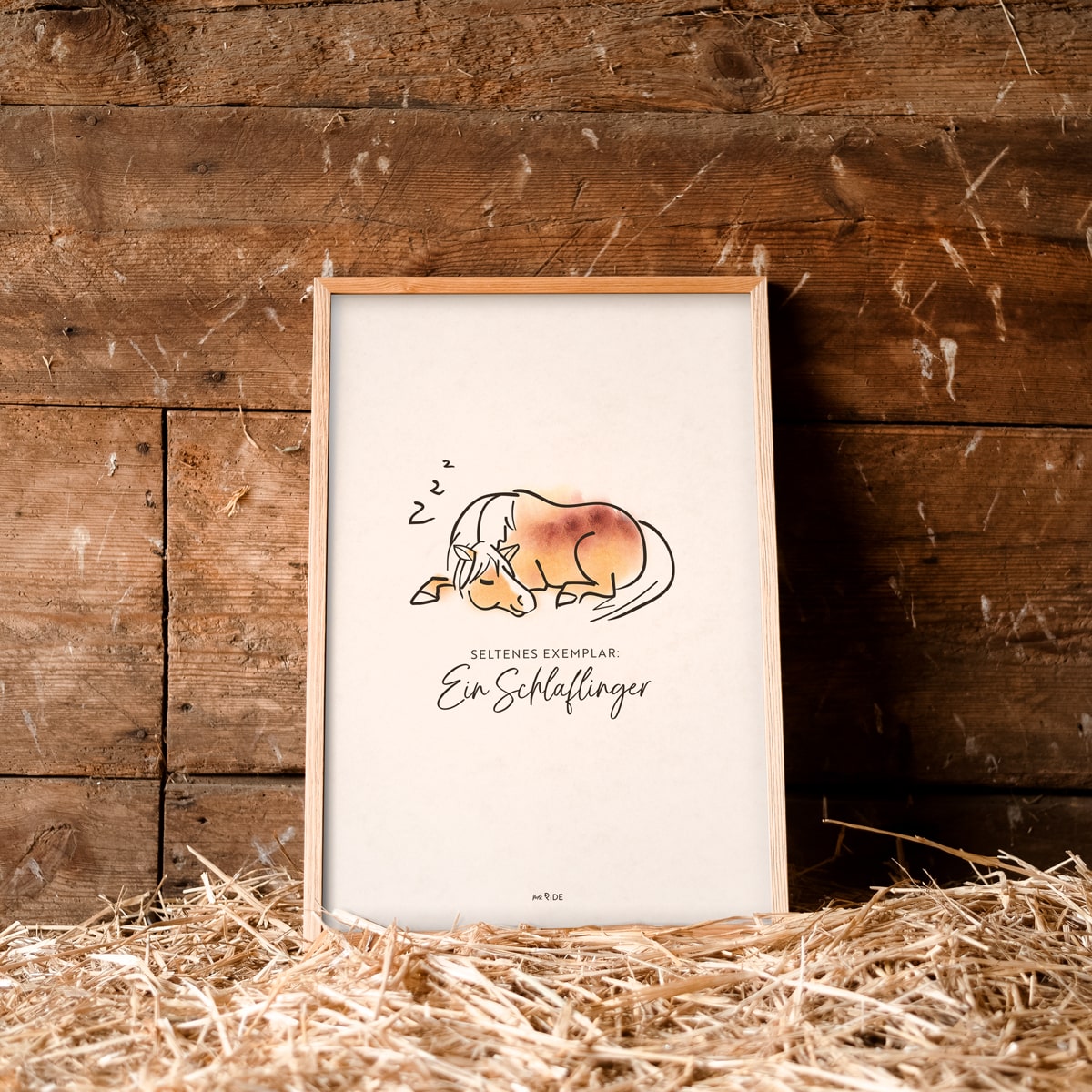 Poster "Schlaflinger"