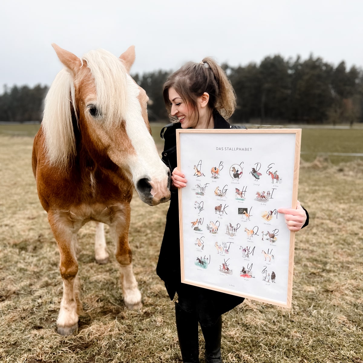 Poster "Das Stallphabet"