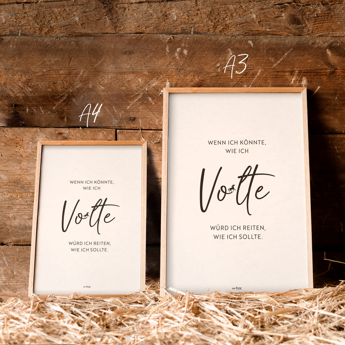 Poster "Wenn ich könnte, wie ich Volte"