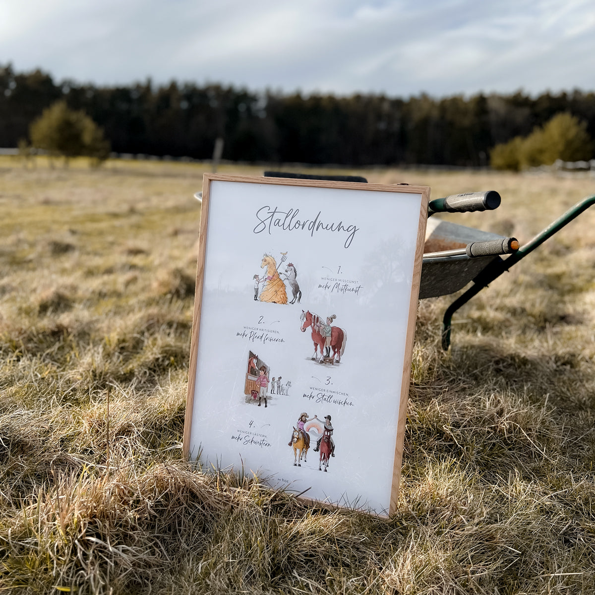 Poster "Stallordnung"